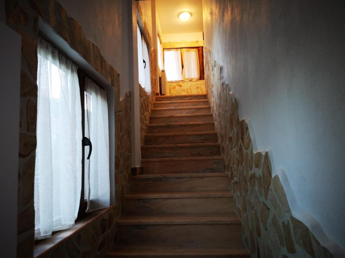 Pensiunea Bella Vista Guest house 3*
